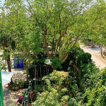 Apartmani Paron Sime Seline Exterior photo